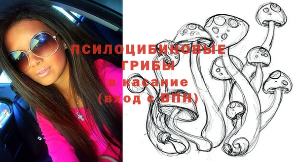 ПСИЛОЦИБИНОВЫЕ ГРИБЫ Алексин