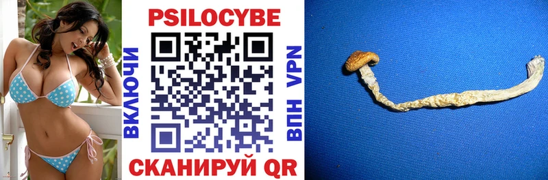 Псилоцибиновые грибы мицелий  купить   Уфа 